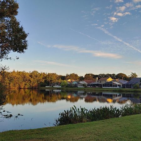 Cozy And Conveniently Located Pool Home With Free Wifi Tampa Exteriör bild