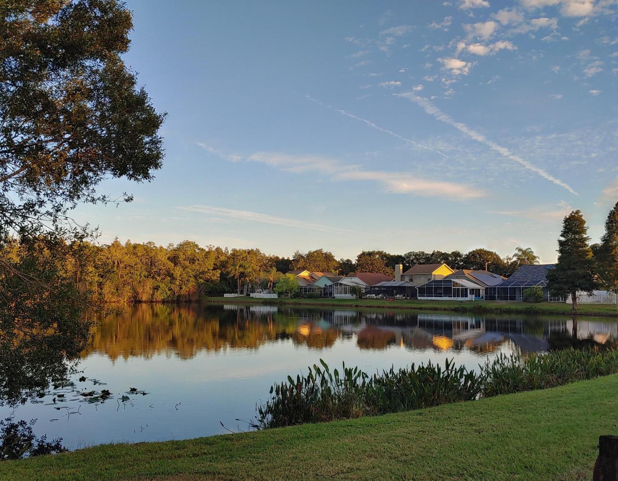 Cozy And Conveniently Located Pool Home With Free Wifi Tampa Exteriör bild