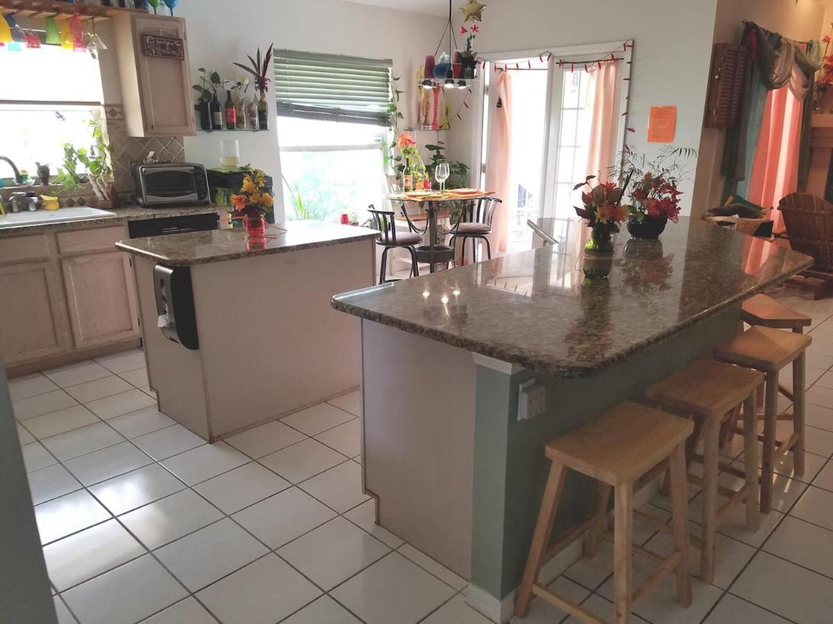 Cozy And Conveniently Located Pool Home With Free Wifi Tampa Exteriör bild