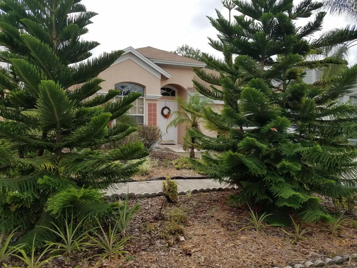 Cozy And Conveniently Located Pool Home With Free Wifi Tampa Exteriör bild